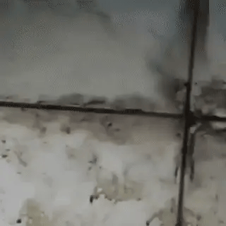 Magic Brush Cepillo 5 en 1